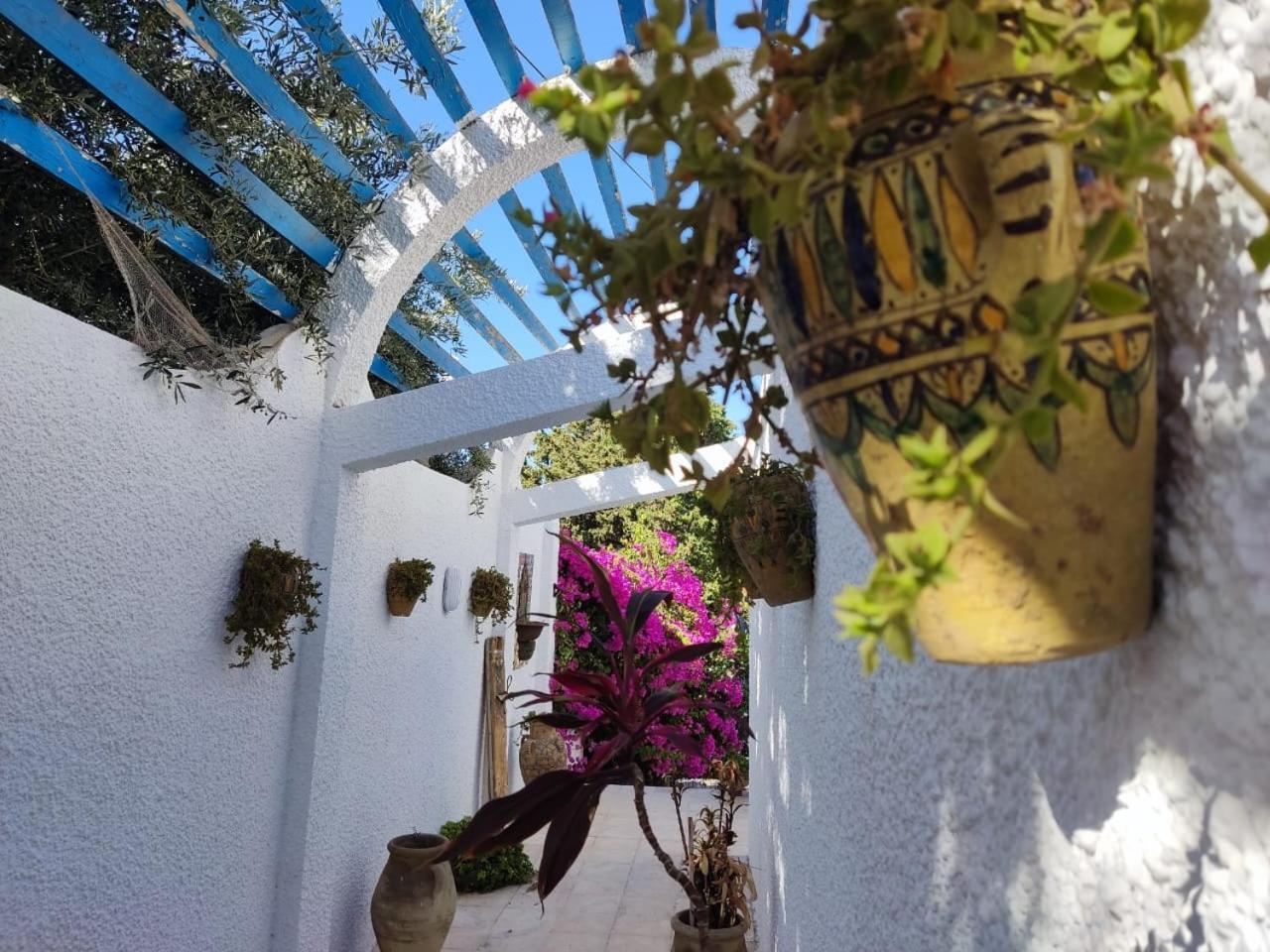 Dar Salama Bizerte Bagian luar foto